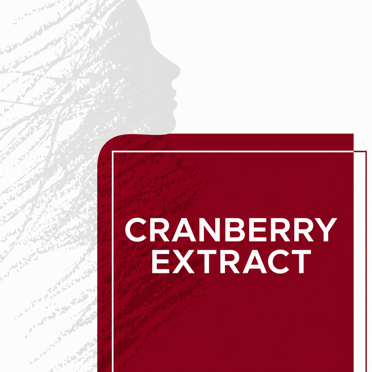 Cranberry Extract