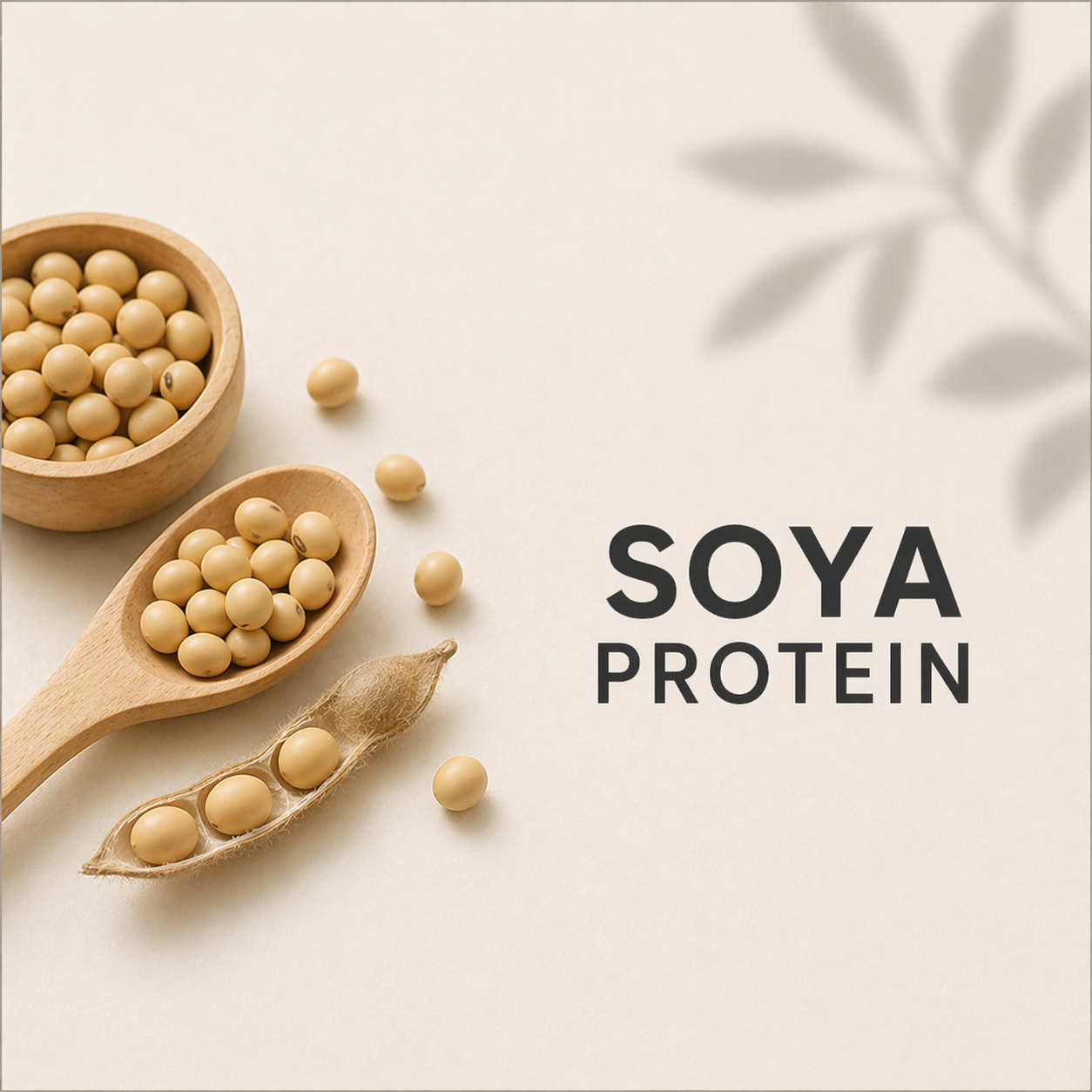 Soya Protein