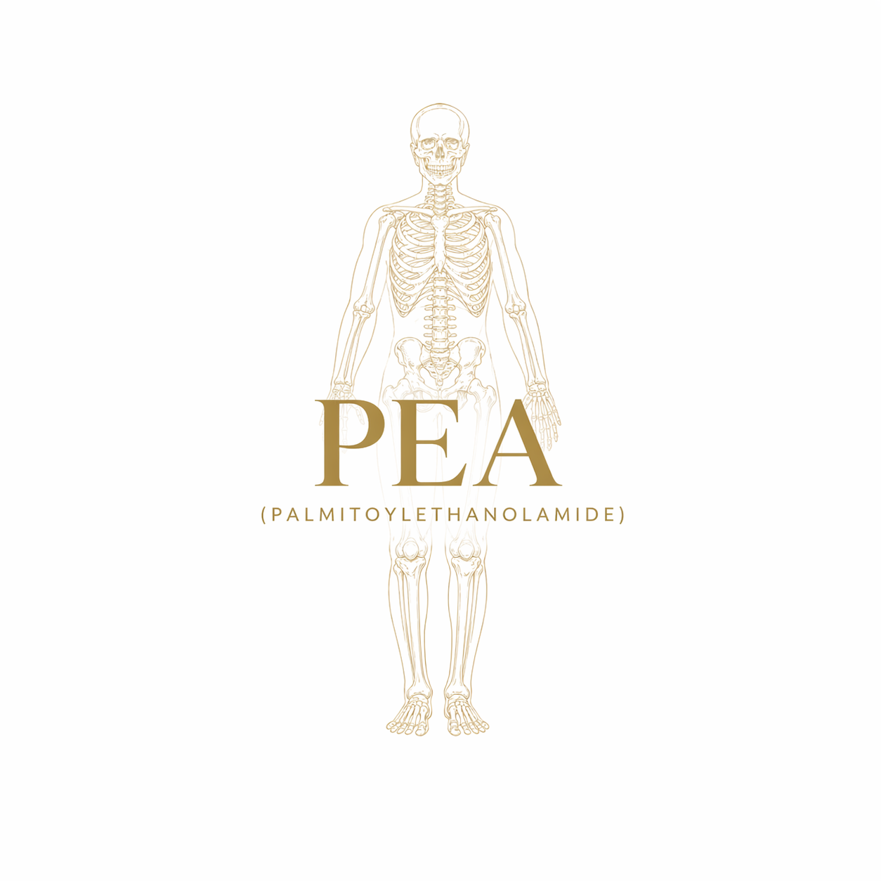 Palmitoylethanolamide (PEA)