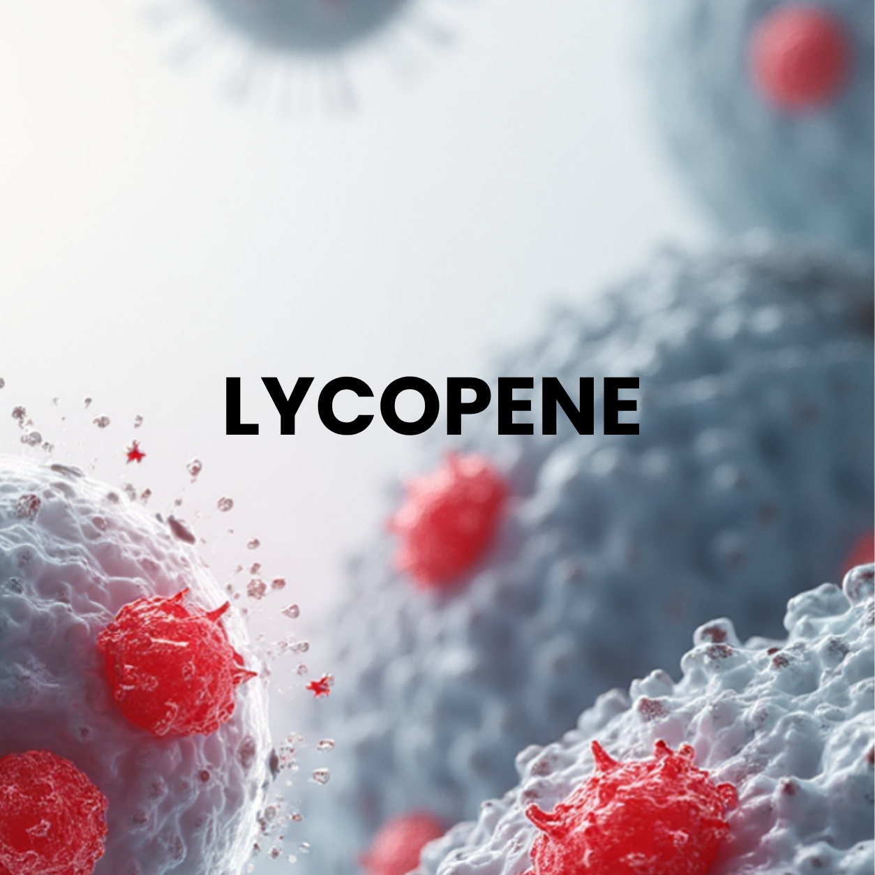 Lycopene