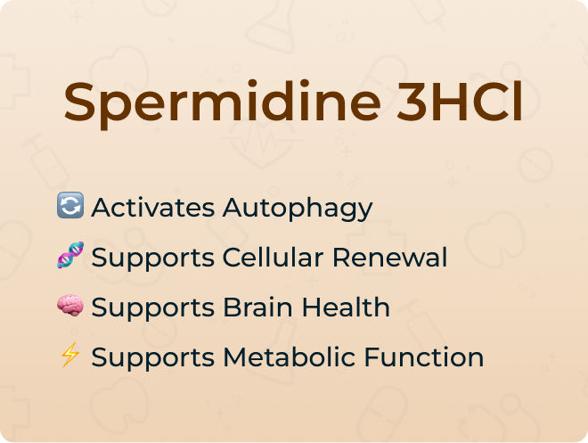 Spermidine 3HCl