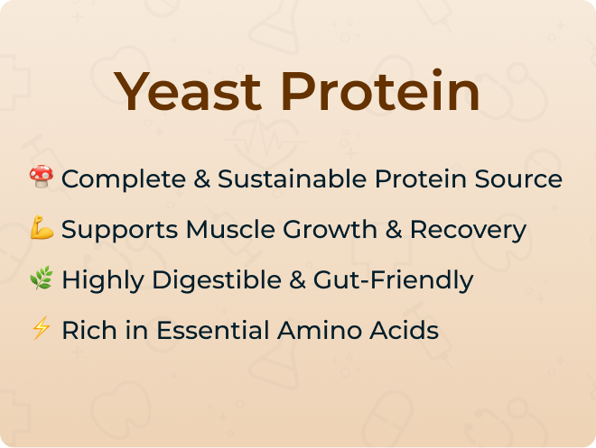Yeast Protein